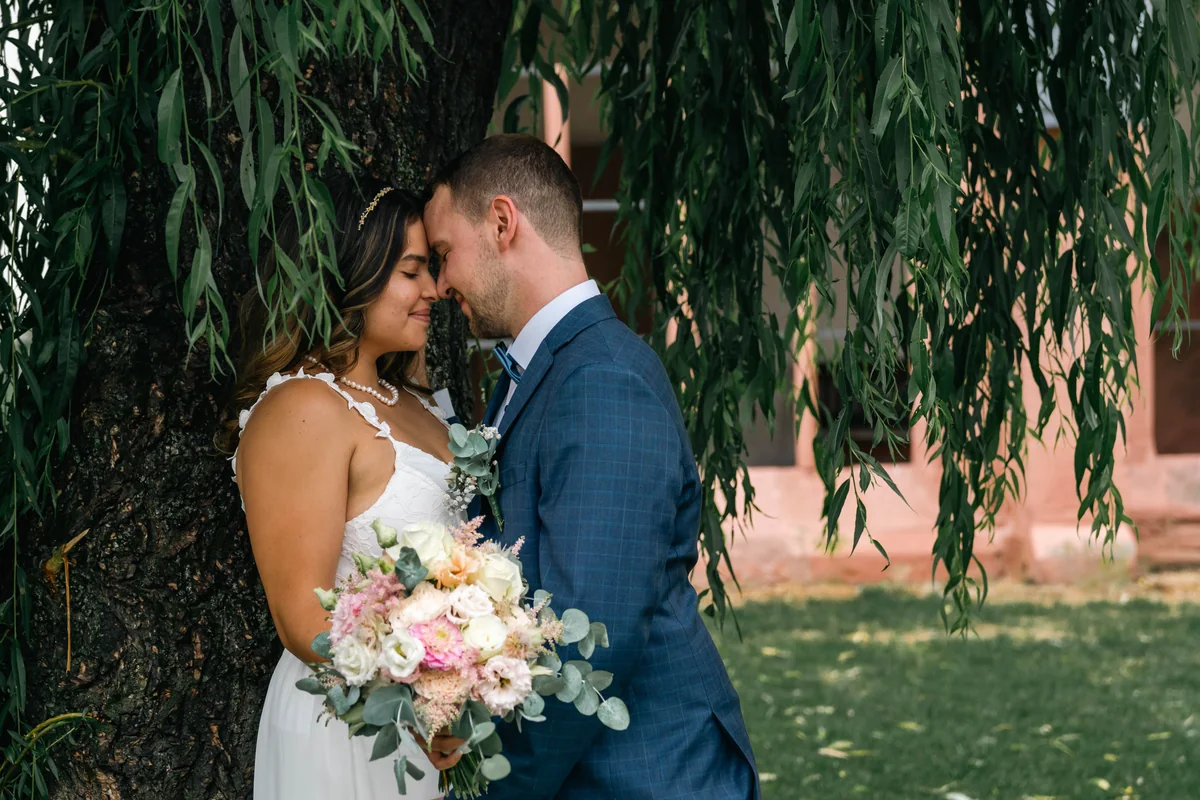 Wedding couple beneath a large tree